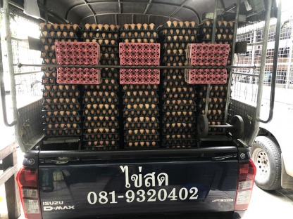 บริการขายส่งไข่ไก่กทม. - ณิชากมล ไข่สด (ขายส่งไข่ไก่ ประชาอุทิศ)