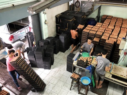 ขายส่งไข่ไก่พระราม 2 - ณิชากมล ไข่สด (ขายส่งไข่ไก่ ประชาอุทิศ)