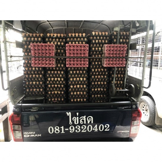 ณิชากมลไข่สด-พรชัย บุญส่งฟาร์ม (ขายส่งไข่ไก่) - ขายส่งไข่ไก่จากฟาร์ม