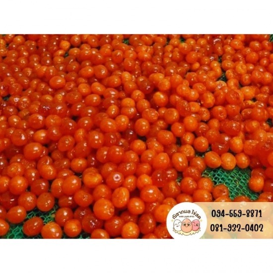 ร้านขายไข่แดงเค็ม ร้านขายไข่แดงเค็ม  ร้านขายส่งไข่เค็ม  แนะนำร้านขายไข่เค็ม ร้านขายส่งไข่ไก่  ร้านขายไข่แดงเค็มใกล้ฉัน  โรงงาน ไข่แดง เค็ม 