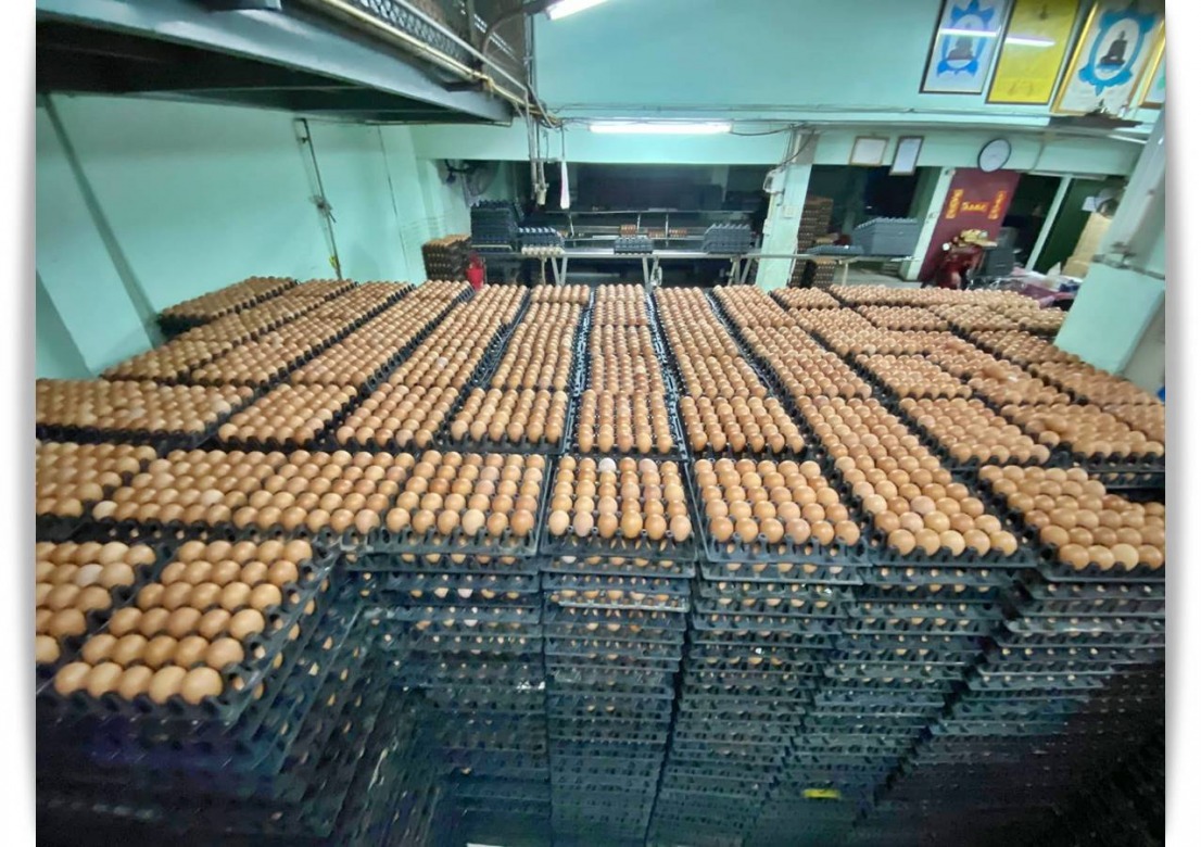 ขายไข่ไก่